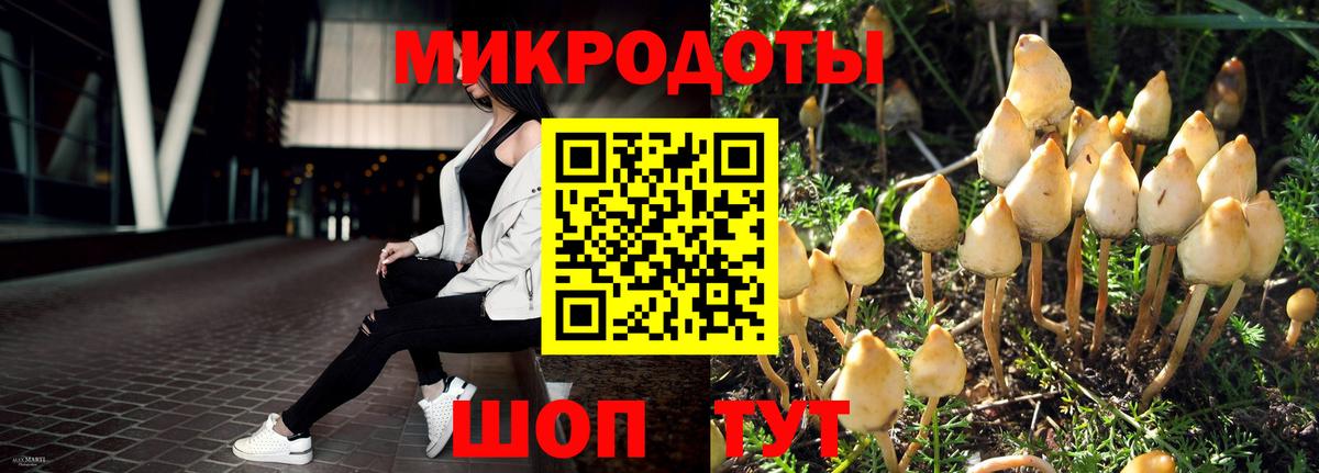 Галлюциногенные грибы ЛСД  Галлюциногенные грибы Psilocybe  Вход с VPN  Щёлково 